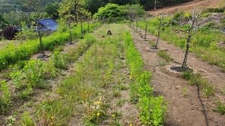 남상호 님의 기타작물 · 영농일지 작성글 사진