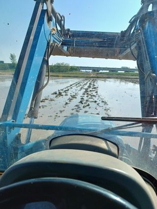 김영천님의 기타작물 · 영농일지 작성글 사진