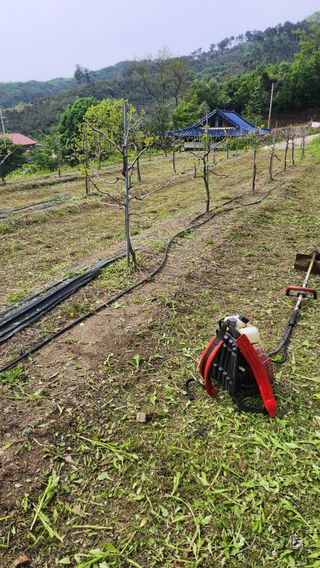 남상호 님의 기타작물 · 영농일지 작성글 사진
