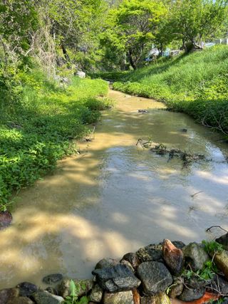 별@노래농장(정씨)님의 벼 · 영농일지 작성글 사진