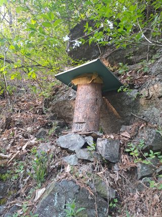 홍성호님의 기타작물 · 영농일지 작성글 사진