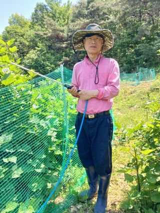 이근우님의 딸기 · 영농일지 작성글 사진