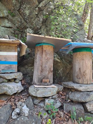 홍성호님의 기타작물 · 영농일지 작성글 사진