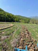 팜모닝 벼·영농일지 게시글 이미지