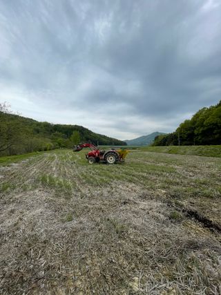 별@노래농장(정씨)님의 벼 · 영농일지 작성글 사진
