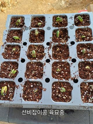 신종균님의 기타작물 · 영농일지 작성글 사진