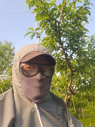 신현오님의 복숭아 · 영농일지 작성글 사진