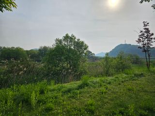 손진천님의 사과 · 영농일지 작성글 사진