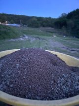 팜모닝 벼·영농일지 게시글 이미지