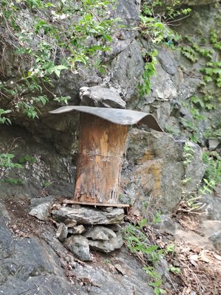 홍성호님의 기타작물 · 영농일지 작성글 사진