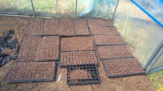 가야산도사님의 참깨 · 영농일지 작성글 사진