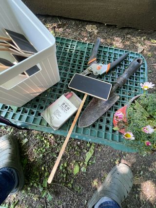 별@노래농장(정씨)님의 기타작물 · 영농일지 작성글 사진