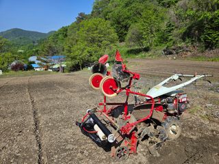 윤자용11대임후회장님의 고추 · 영농일지 작성글 사진