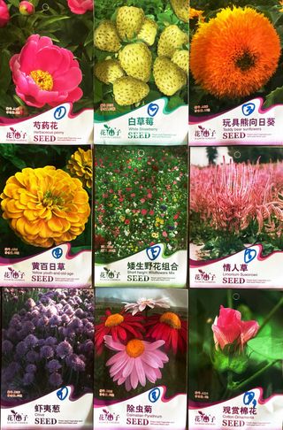 별@노래농장(정씨)님의 기타작물 · 영농일지 작성글 사진