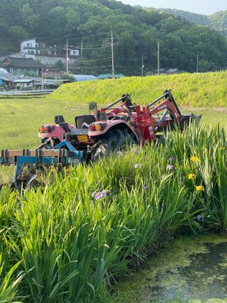 별@노래농장(정씨)님의 벼 · 영농일지 작성글 사진