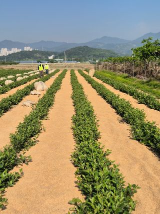 우리농원님의 사과 · 영농일지 작성글 사진