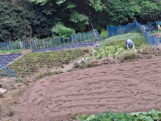 산중과실님의 기타작물 · 영농일지 작성글 사진