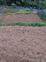 팜모닝 기타작물·영농일지 게시글 이미지