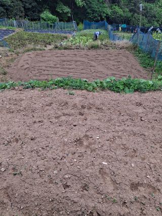 산중과실님의 기타작물 · 영농일지 작성글 사진