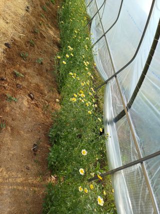 신종균님의 기타작물 · 영농일지 작성글 사진