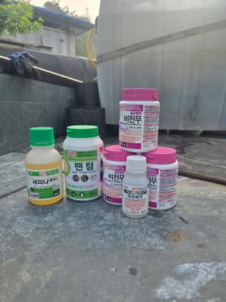 신현오님의 복숭아 · 영농일지 작성글 사진