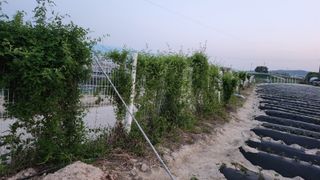 장기수님의 기타작물 · 영농일지 작성글 사진