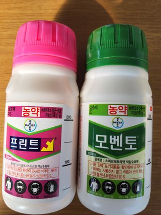 신명호님의 포도 · 영농일지 작성글 사진