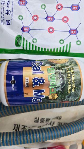 전진원님의 포도 · 영농일지 작성글 사진