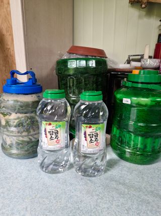 낙엽교목류21691님의 기타작물 · 영농일지 작성글 사진