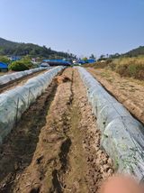 팜모닝 호박·영농일지 게시글 이미지