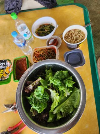 벽창호(죽동농부)님의 사과 · 영농일지 작성글 사진