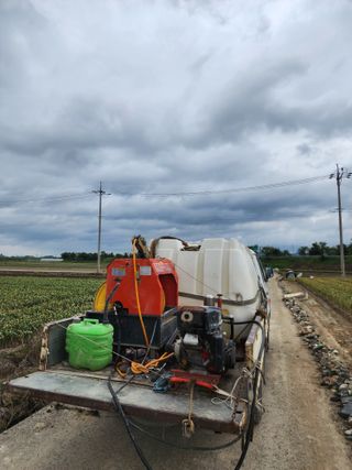 박종권님의 마늘 · 영농일지 작성글 사진