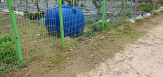 김성태님의 기타작물 · 영농일지 작성글 사진