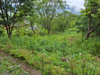 팜모닝회원류한배님의 기타작물 · 영농일지 작성글 사진