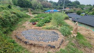 촌사리님의 들깨 · 영농일지 작성글 사진