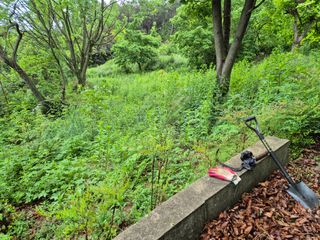 팜모닝회원류한배님의 기타작물 · 영농일지 작성글 사진
