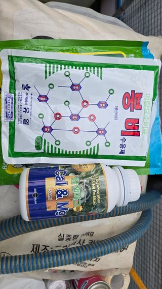 전진원님의 포도 · 영농일지 작성글 사진