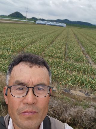 박종권님의 마늘 · 영농일지 작성글 사진