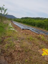 팜모닝 기타작물·영농일지 게시글 이미지