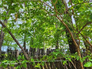 헤라여신^^♡님의 버섯 · 영농일지 작성글 사진