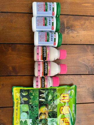 이선민(호뜨락)님의 포도 · 영농일지 작성글 사진