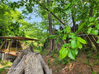 헤라여신^^♡님의 버섯 · 영농일지 작성글 사진