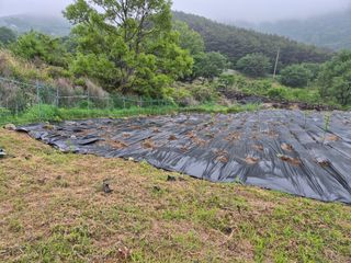 시골농부뜨돌이님의 기타작물 · 영농일지 작성글 사진
