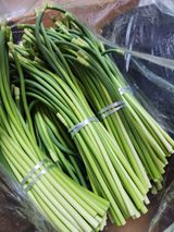 팜모닝 마늘·영농일지 게시글 이미지