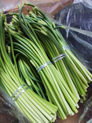 들깨17250님의 마늘 · 영농일지 작성글 사진