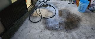 김형철님의 귤 · 영농일지 작성글 사진