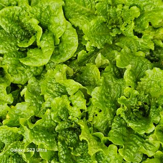 박용열조물주님 님의 기타작물 · 영농일지 작성글 사진