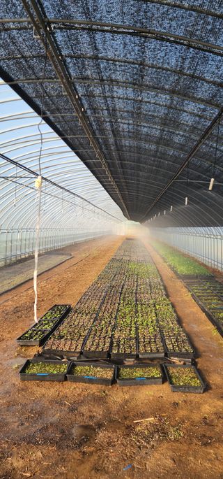 김제일님의 기타작물 · 영농일지 작성글 사진