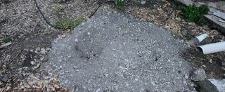 김형철님의 귤 · 영농일지 작성글 사진