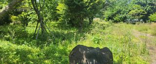 김형철님의 기타작물 · 영농일지 작성글 사진